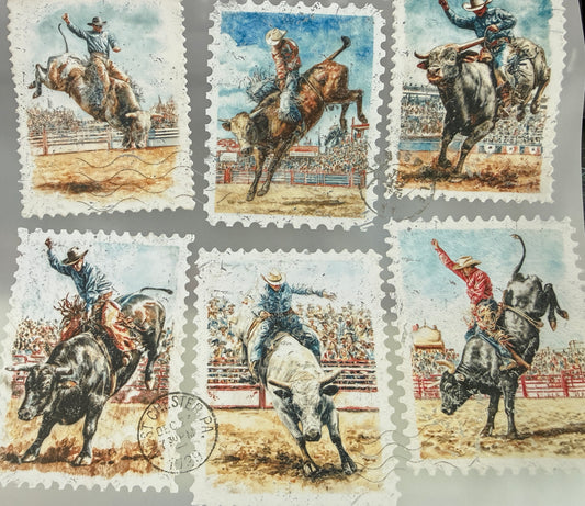 Bucking Bull rider stamp shirt